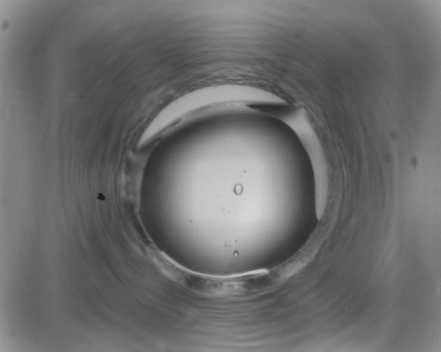 X0000084010288200703022039