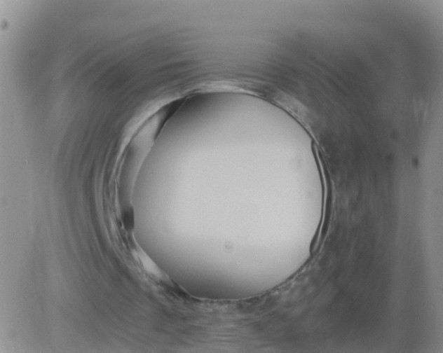 X0000084010289200703022038