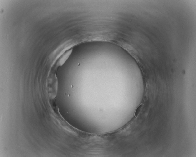 X0000084010290200703022038