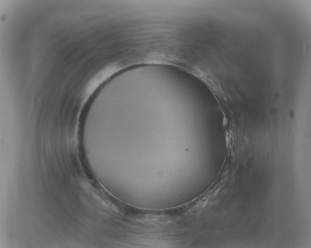 X0000084010292200703022038