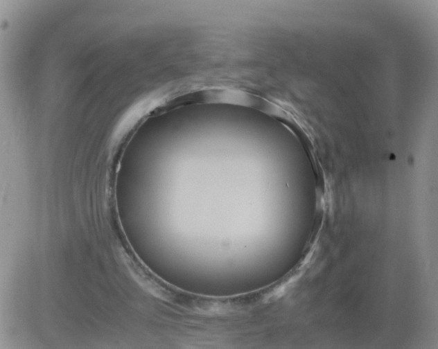 X0000084010293200703022038