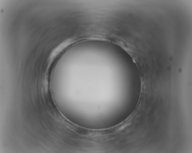 X0000084010294200703022038