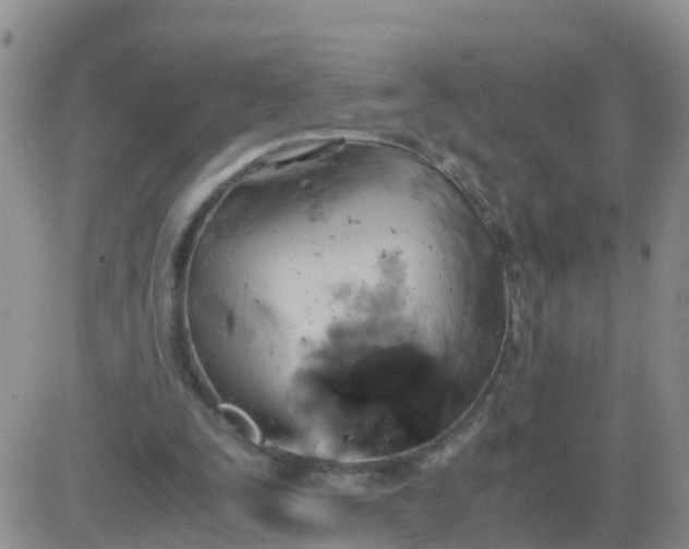 X0000084010295200703022038