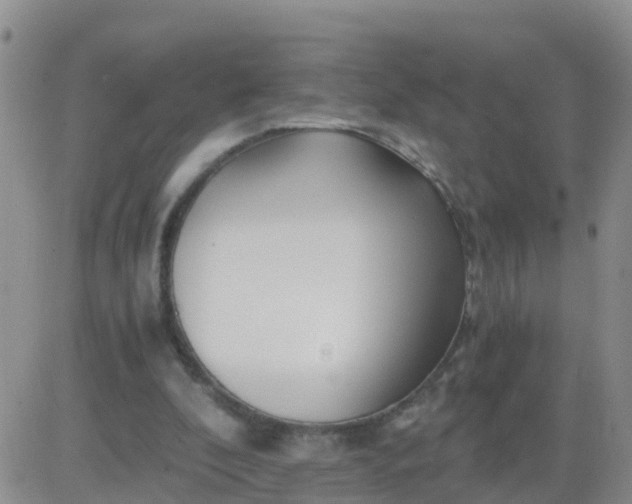 X0000084010296200703022038