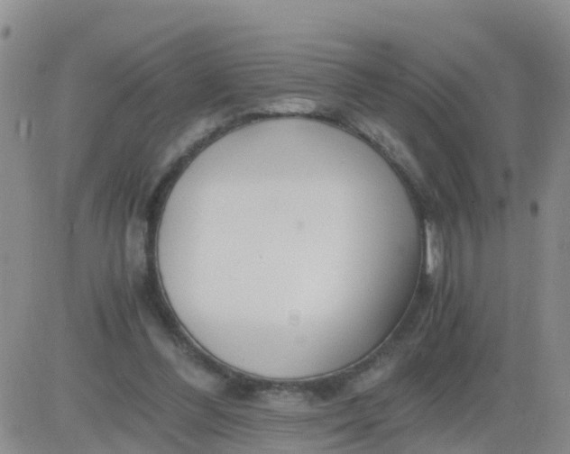 X0000084010300200703022038