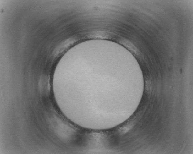 X0000084010302200703022038