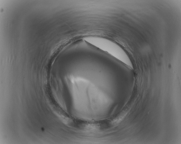 X0000084010303200703022038