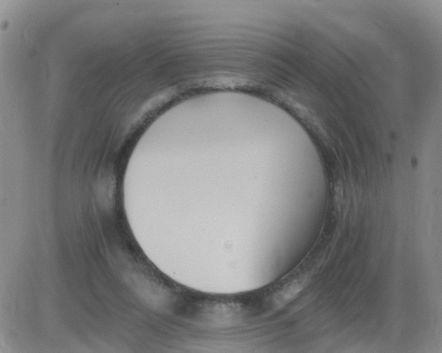 X0000084010304200703022038