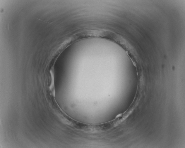 X0000084010305200703022038