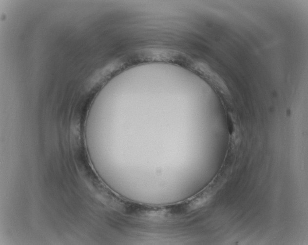 X0000084010306200703022038