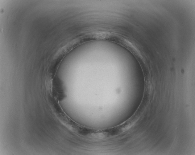 X0000084010307200703022038