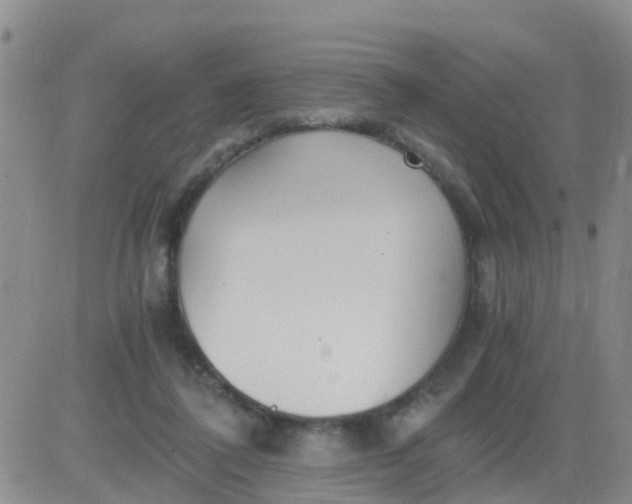 X0000084010308200703022038