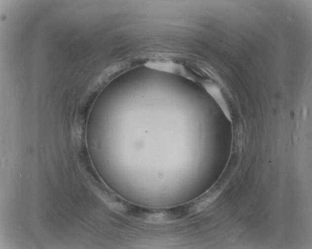 X0000084010309200703022038