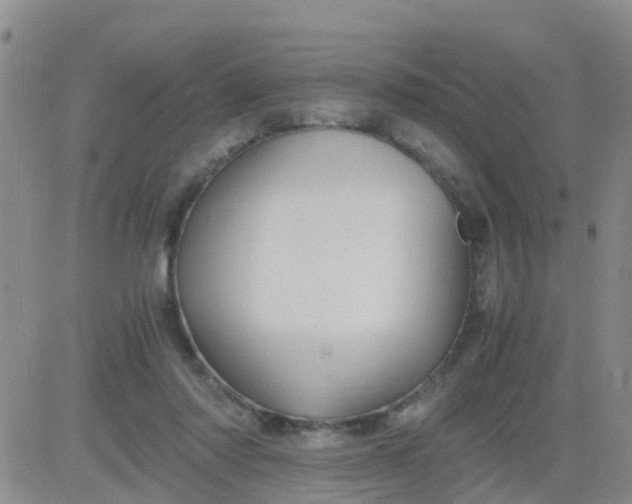 X0000084010310200703022038