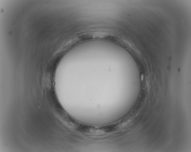 X0000084010311200703022038