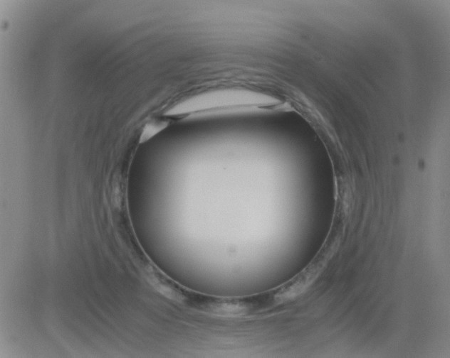 X0000084010313200703022038