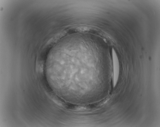 X0000084010315200703022038