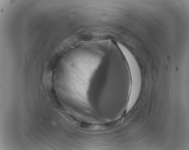 X0000084010319200703022038