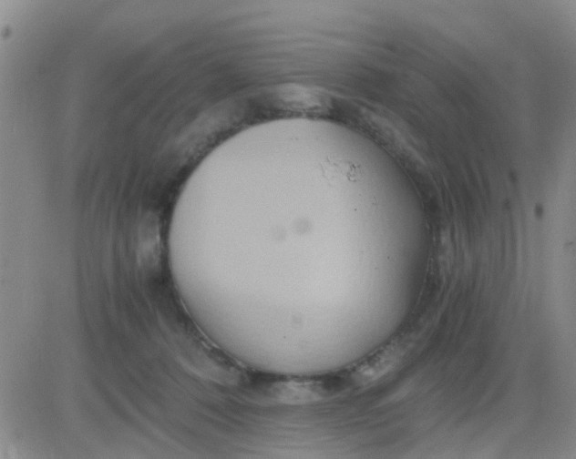 X0000084010320200703022038