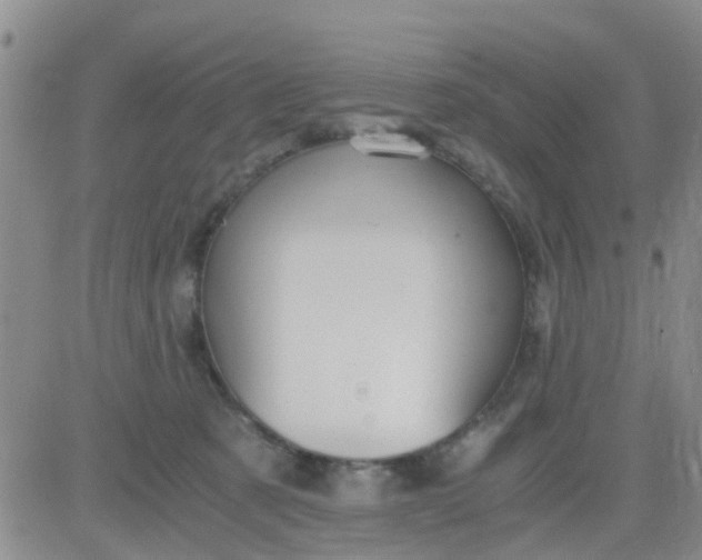 X0000084010321200703022038