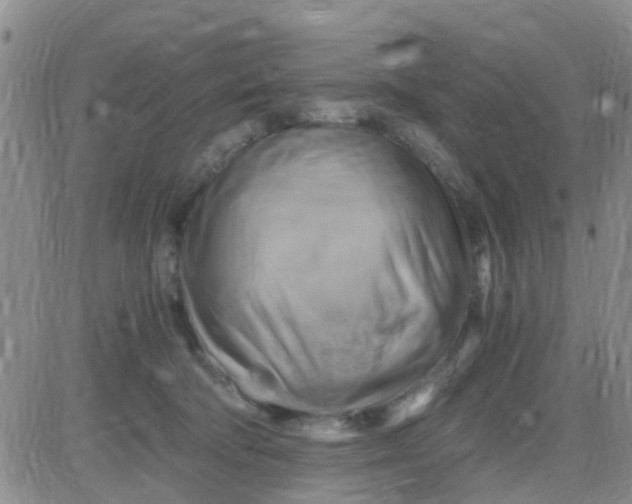 X0000084010322200703022038