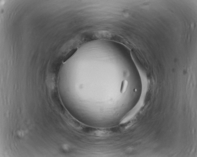 X0000084010323200703022038