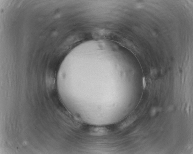 X0000084010324200703022038