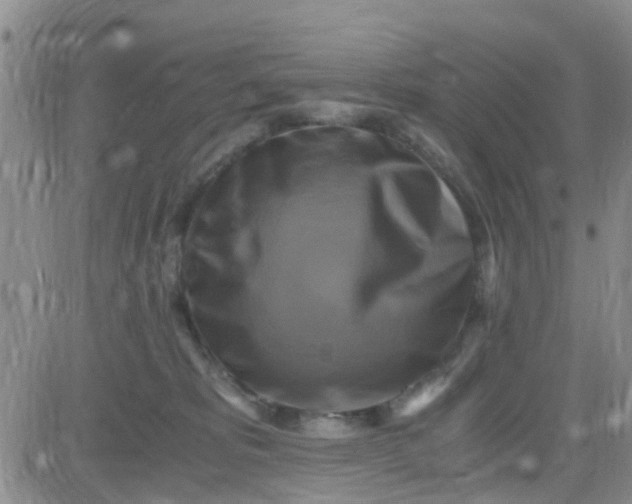 X0000084010325200703022038