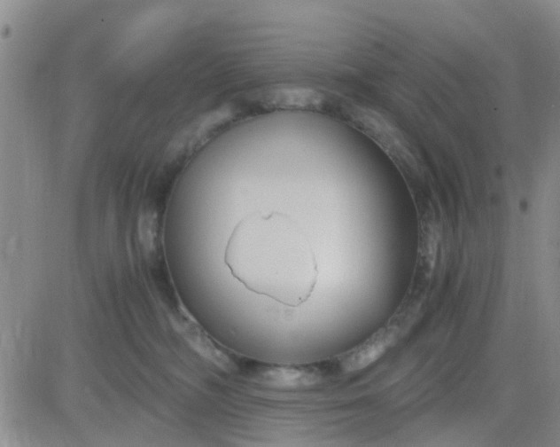 X0000084010326200703022038