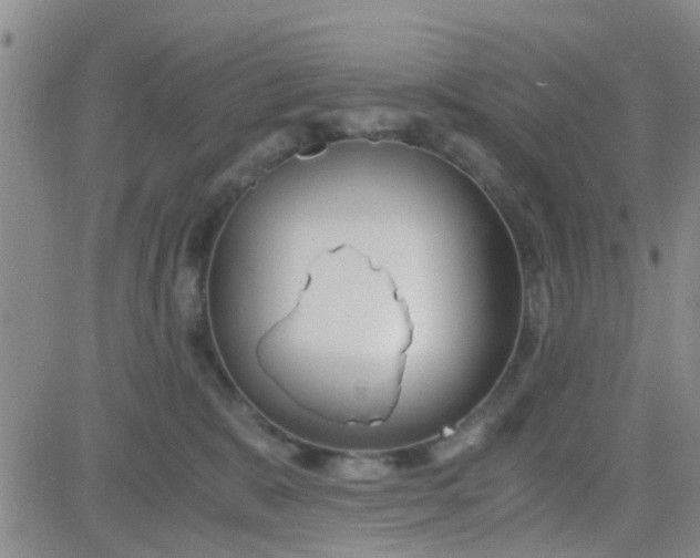 X0000084010327200703022038