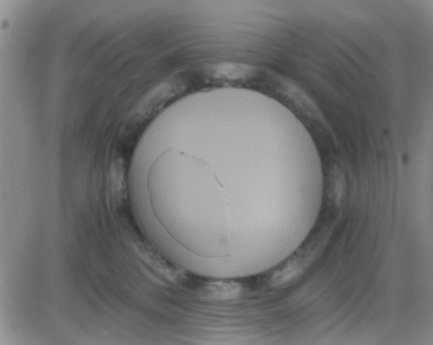 X0000084010328200703022038