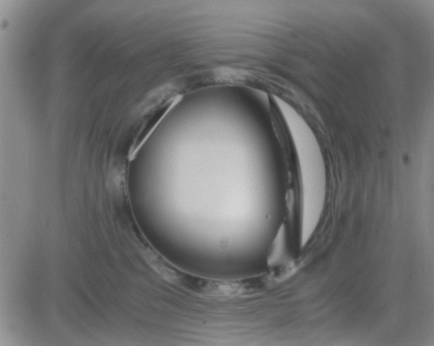 X0000084010329200703022038