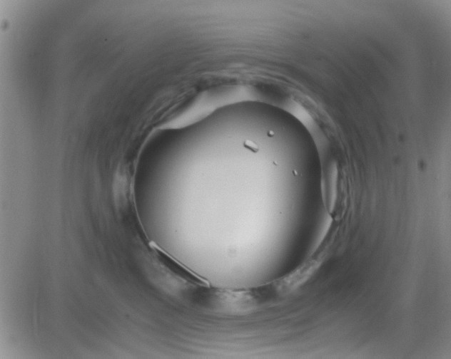 X0000084010333200703022038