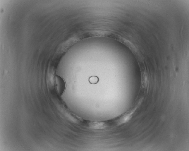 X0000084010334200703022038