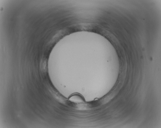 X0000084010336200703022037