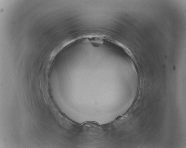 X0000084010337200703022037