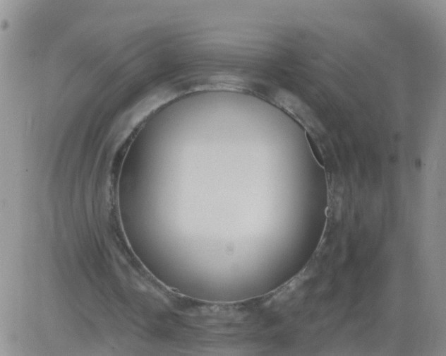 X0000084010338200703022037