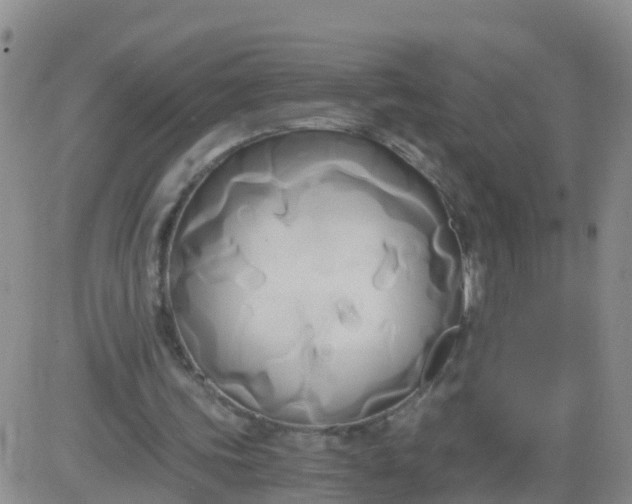 X0000084010339200703022037