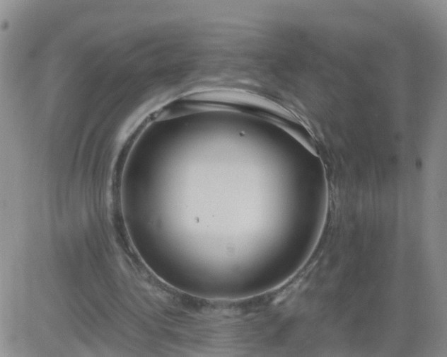 X0000084010340200703022037