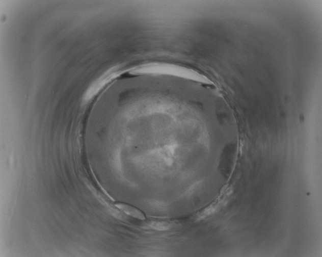 X0000084010341200703022037