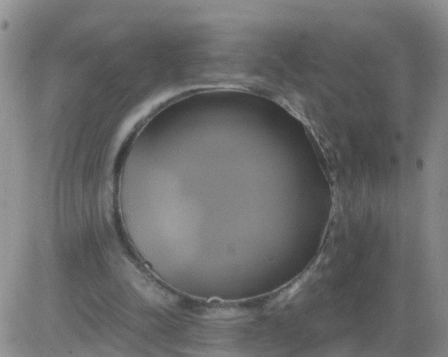 X0000084010342200703022037