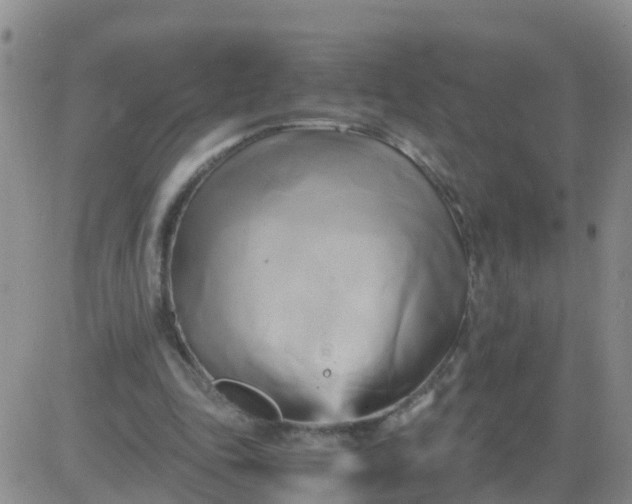 X0000084010343200703022037