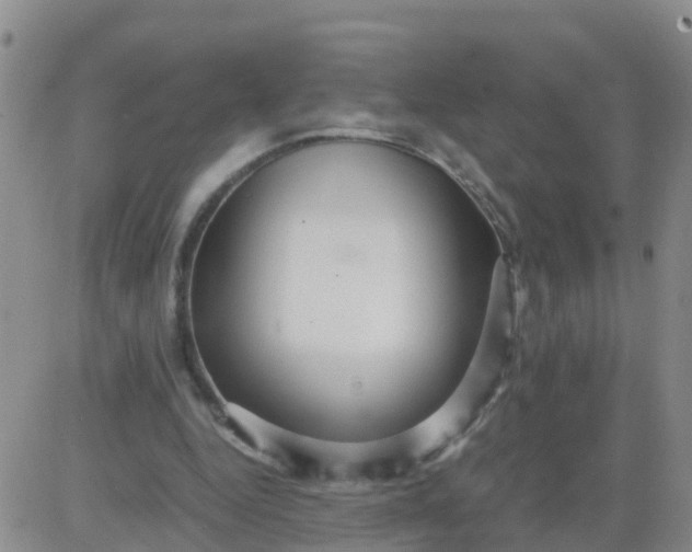 X0000084010344200703022037