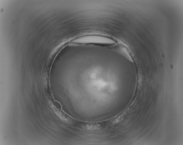 X0000084010345200703022037