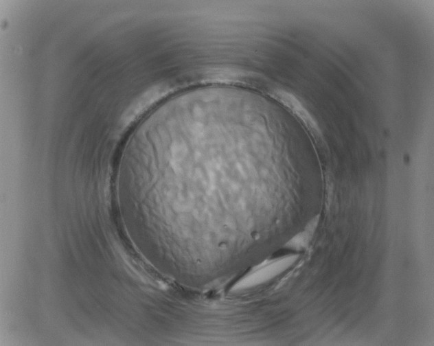 X0000084010346200703022037