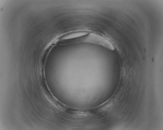 X0000084010347200703022037