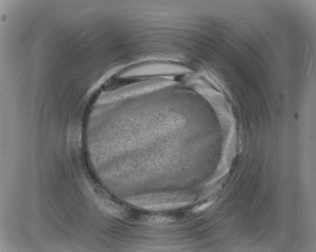 X0000084010348200703022037