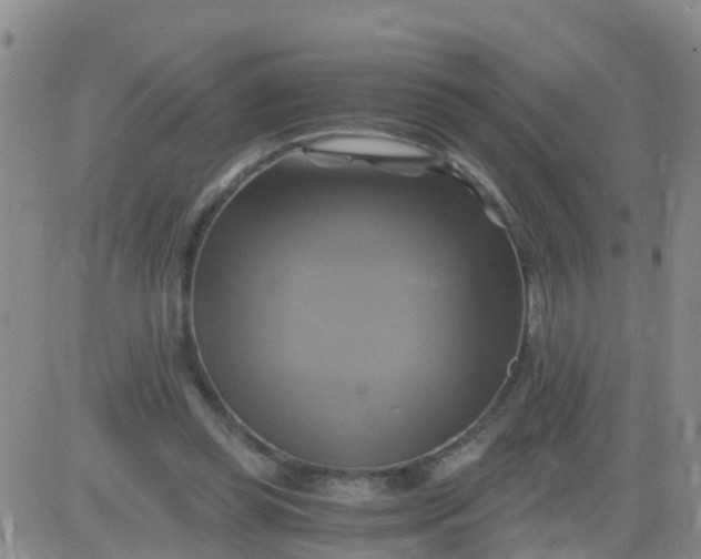 X0000084010349200703022037