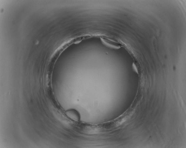 X0000084010351200703022037