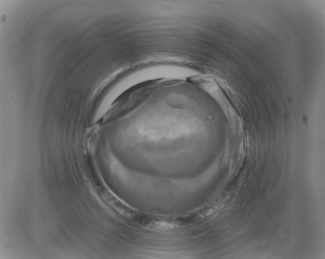 X0000084010352200703022037